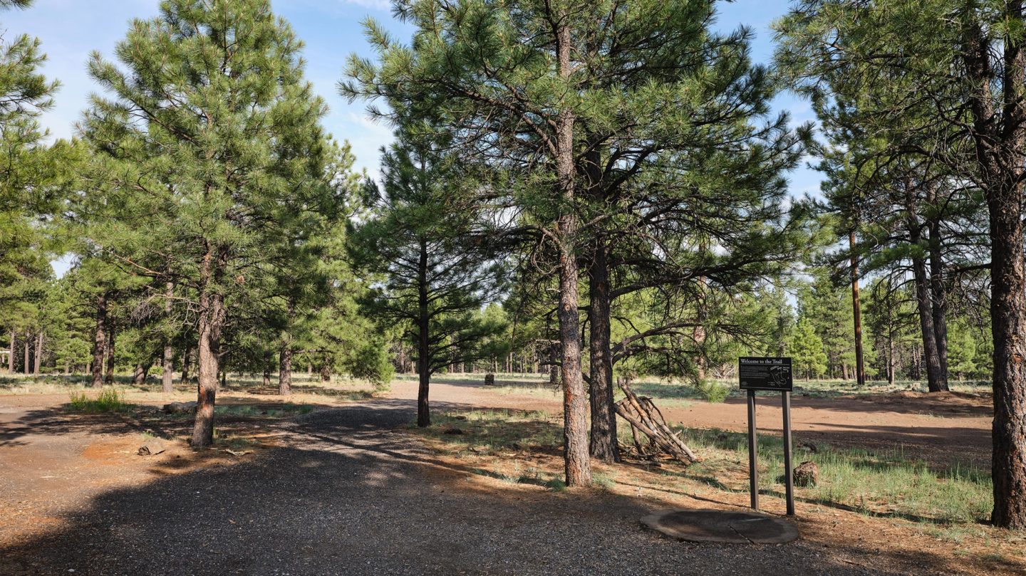 Hiking trailhead at Little America Flagstaff.