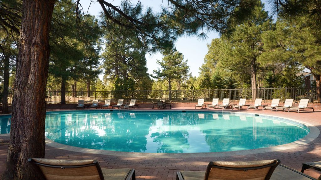 The pool at Little America Flagstaff surrounded by pine trees.