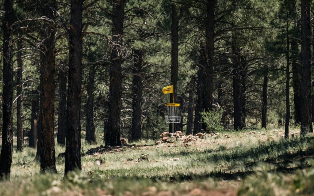 Disc Golf Hole