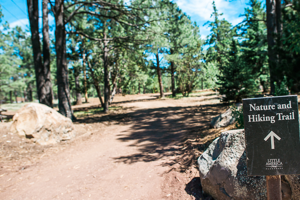 Hiking Trail Sign